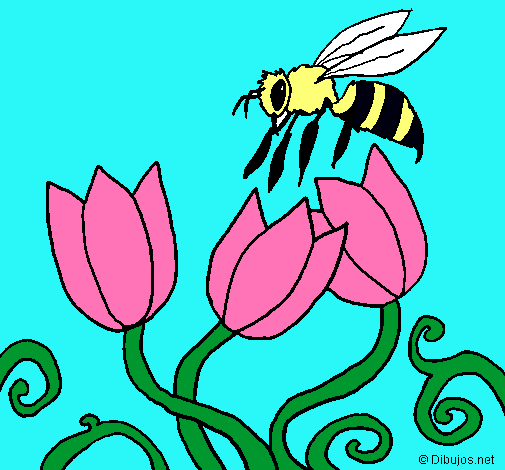 Abeja