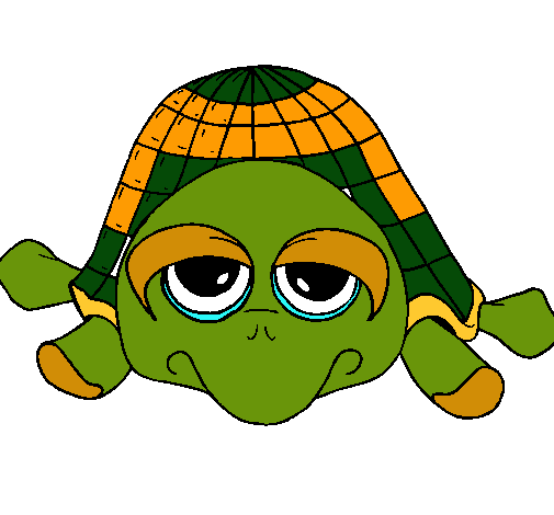 Tortuga