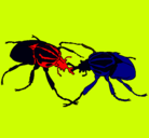 Dibujo Escarabajos pintado por marrcs