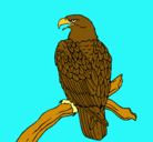 Dibujo Águila en una rama pintado por angela