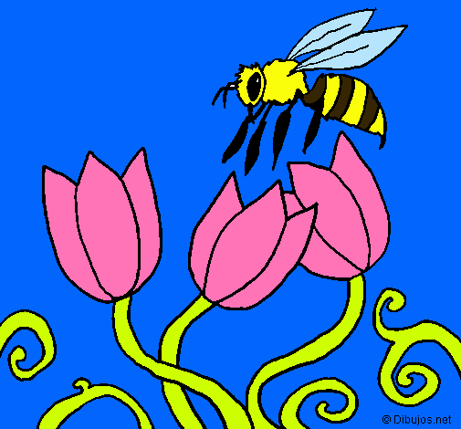 Abeja