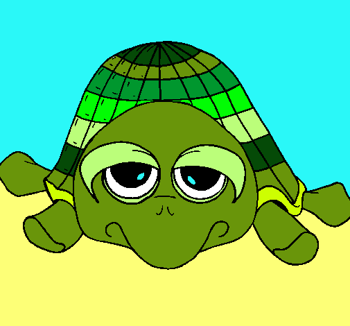 Tortuga