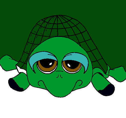 Tortuga