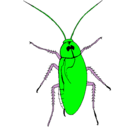 Dibujo Cucaracha grande pintado por raul
