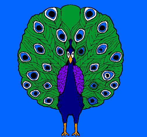 Pavo real