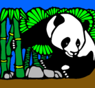 Dibujo Oso panda y bambú pintado por valeisc