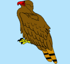 Dibujo Águila pintado por joaquin