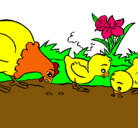 Dibujo Gallina y pollitos pintado por margary