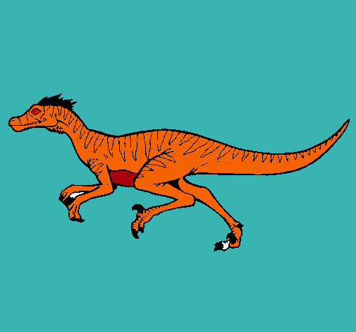 Velociraptor