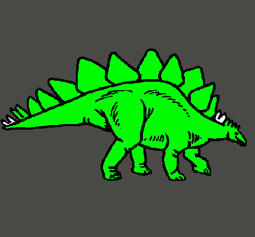 Stegosaurus