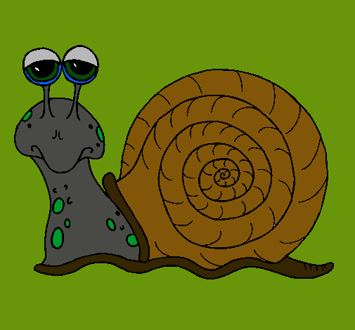 Caracol