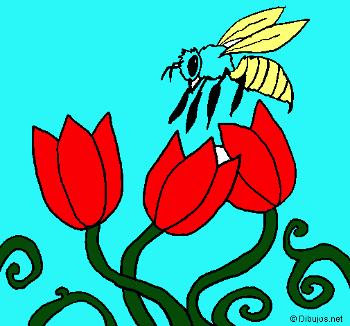 Abeja