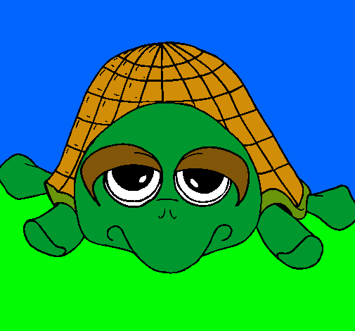 Tortuga