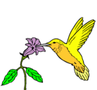 Dibujo Colibrí y una flor pintado por turpial