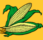 Dibujo Mazorca de maíz pintado por cez
