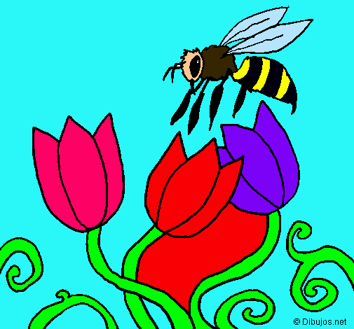 Abeja