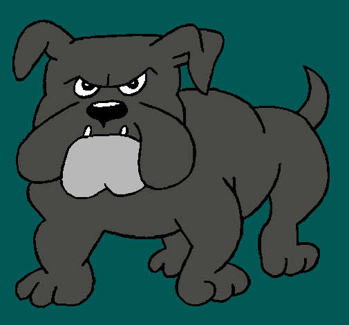 Perro Bulldog