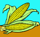 Dibujo Mazorca de maíz pintado por sugey