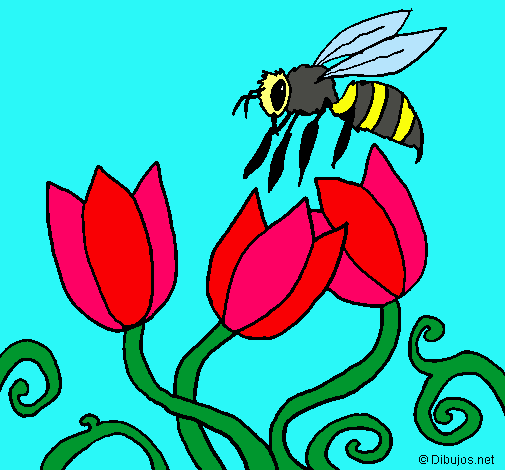 Abeja