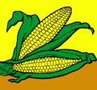 Dibujo Mazorca de maíz pintado por Agustin