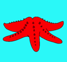 Dibujo Estrella de mar pintado por lauravalentinaavilezbe