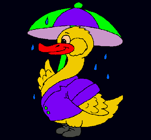 Pato bajo la lluvia