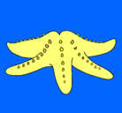 Dibujo Estrella de mar pintado por andreayrocio