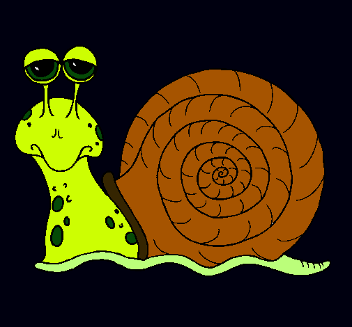 Caracol