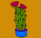 Dibujo Cactus con flores pintado por winy