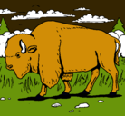 Dibujo Búfalo  pintado por roberto