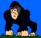 Dibujo Gorila pintado por abas