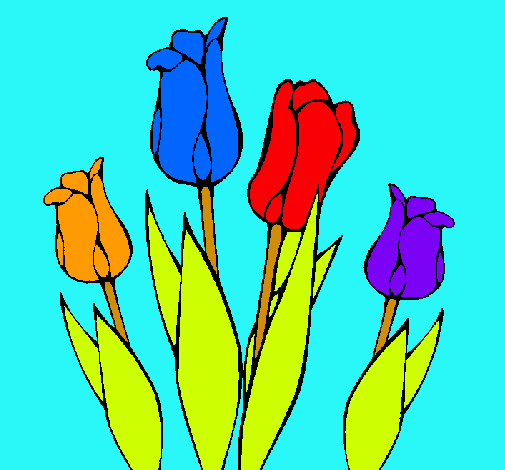 Tulipanes