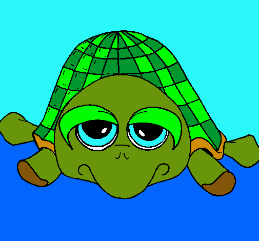 Tortuga