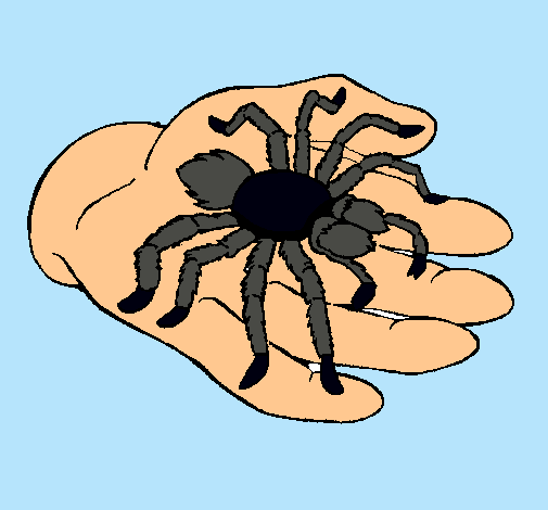 Tarántula