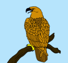 Dibujo Águila en una rama pintado por SARA