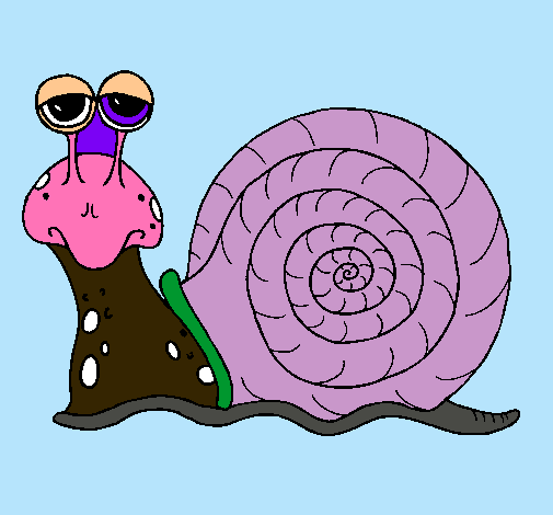 Caracol