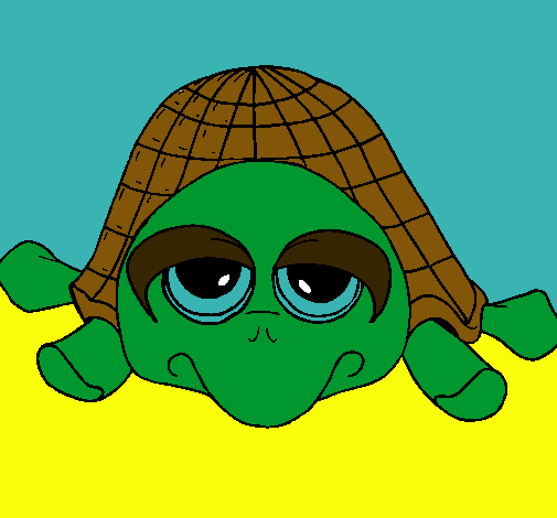 Tortuga