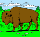 Dibujo Búfalo  pintado por gonzalo
