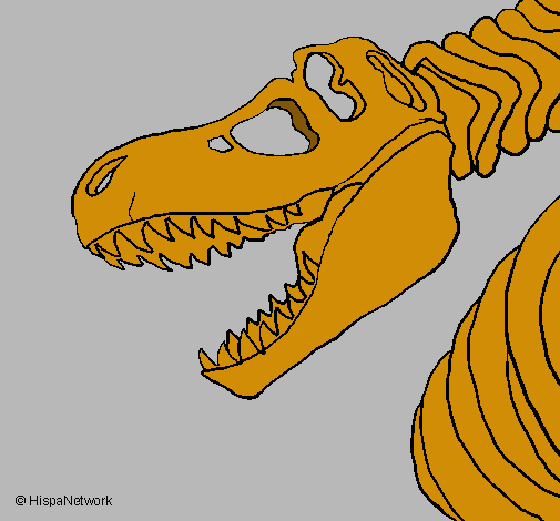 Esqueleto tiranosaurio rex