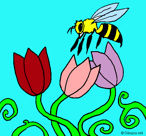 Abeja