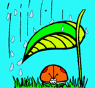 Dibujo Mariquita protegida de la lluvia pintado por paula
