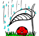Dibujo Mariquita protegida de la lluvia pintado por nayeli
