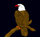 Dibujo Águila en una rama pintado por abraham