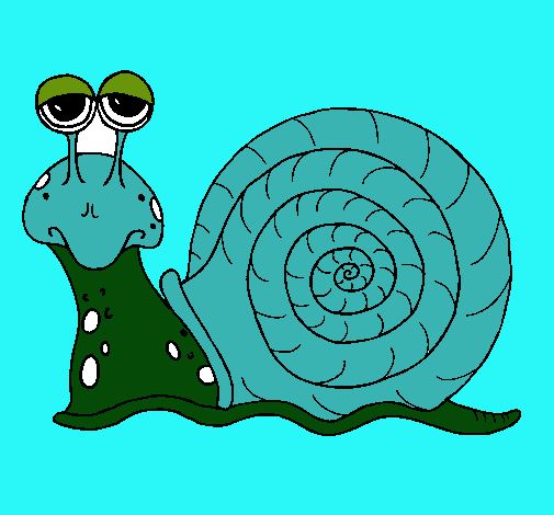 Caracol