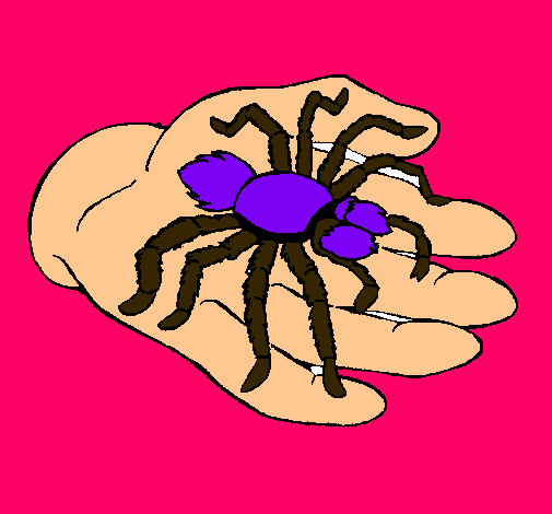 Tarántula