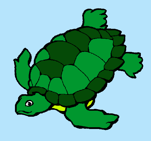 Tortuga