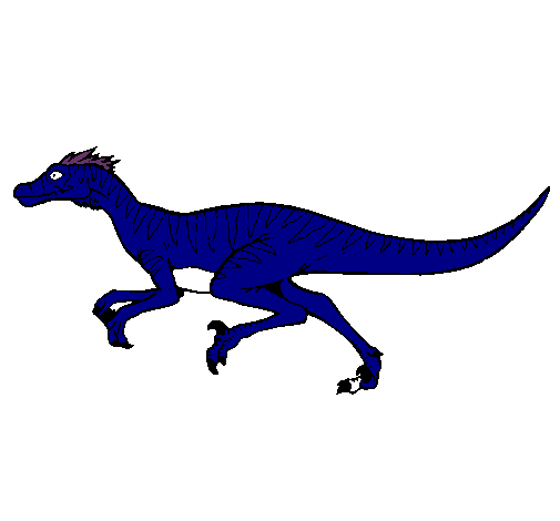 Velociraptor