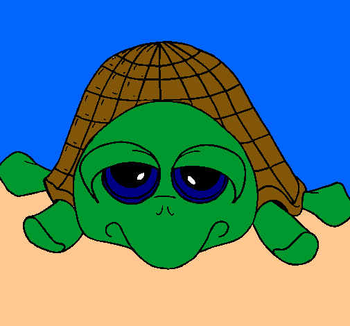 Tortuga