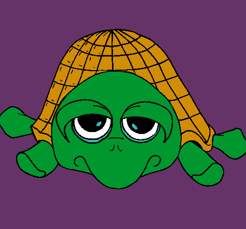 Tortuga