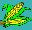 Dibujo Mazorca de maíz pintado por mary